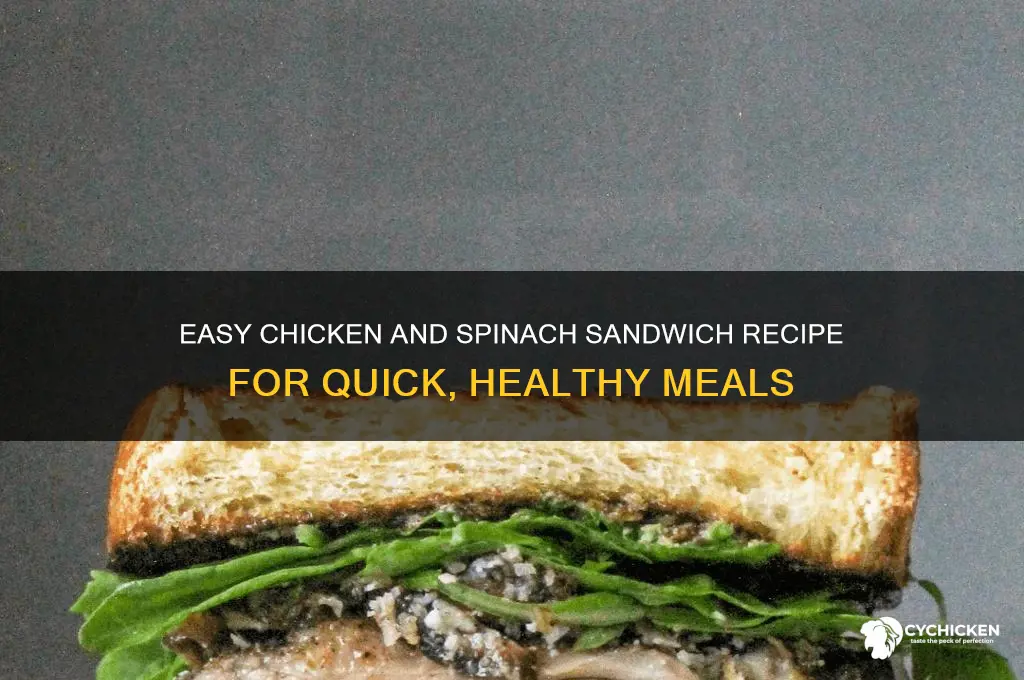 how to make a chicken and spinach sandwich