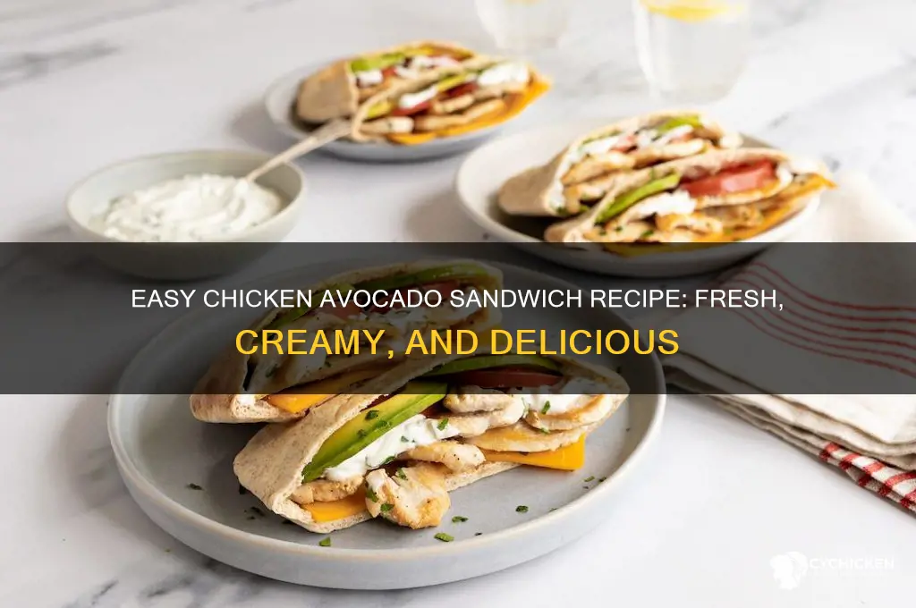 how to make a chicken avocado sandwich