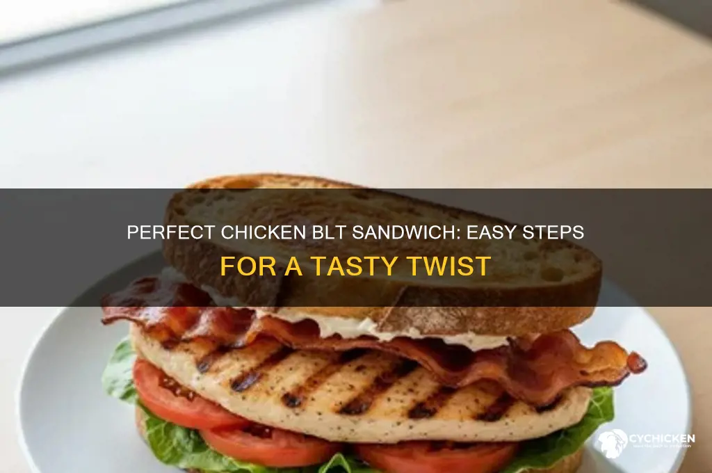 how to make a chicken blt sandwich