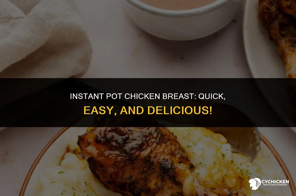 how to make a chicken breast in the instant pot