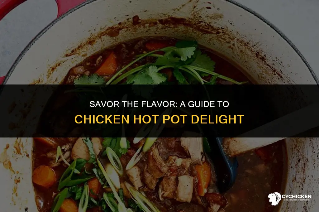 how to make a chicken hot pot