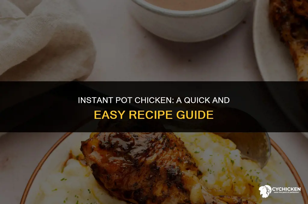 how to make a chicken in an instant pot