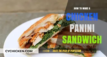 Easy Chicken Panini Recipe: Crispy, Cheesy, and Delicious Sandwich Guide