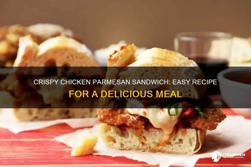 how to make a chicken parmesan sandwich