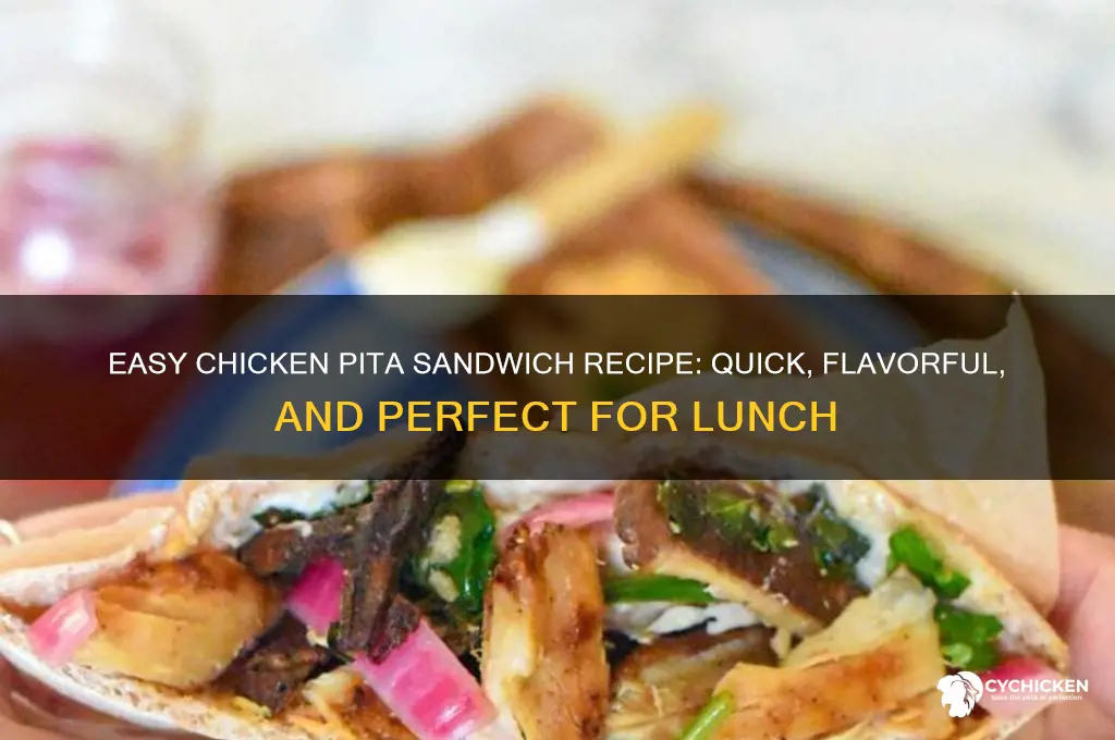 how to make a chicken pita sandwich
