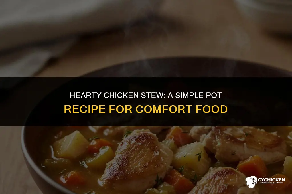 how to make a chicken stew in a pot