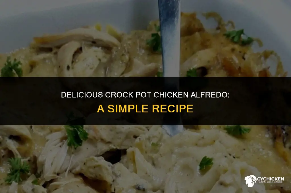 how to make a crock pot chicken alfredo