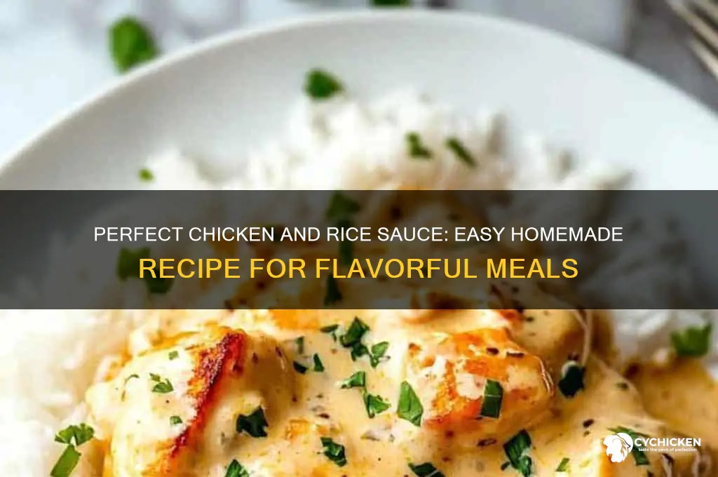 how to make a sauce for chicken and rice