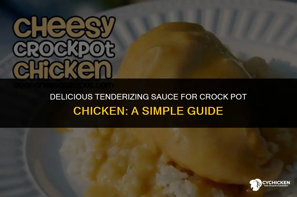 how to make a tenderizing sauce for crock pot chicken