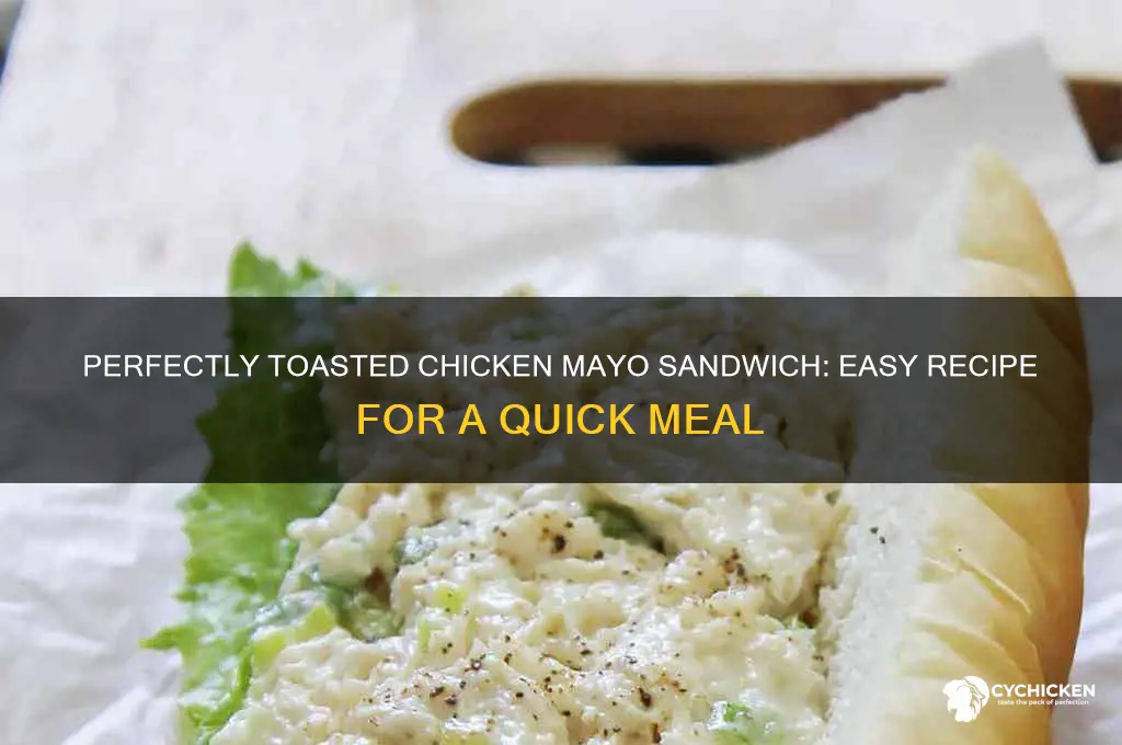 how to make a toasted chicken and mayo sandwich