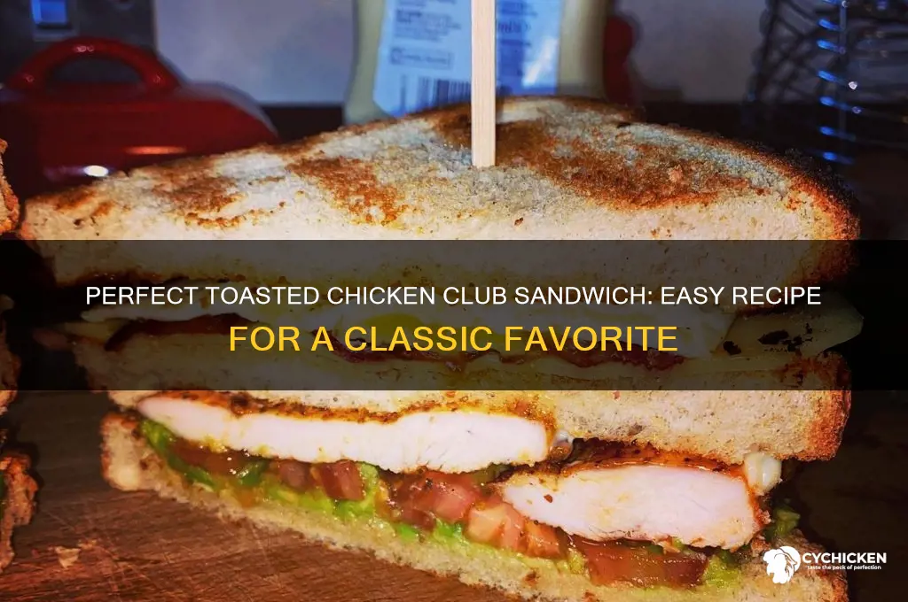 how to make a toasted chicken club sandwich