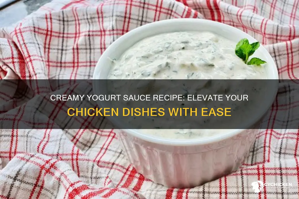 how to make a yogurt sauce for chicken