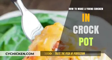 Delicious and Easy: Slow-Cooked Young Chicken in a Crock Pot