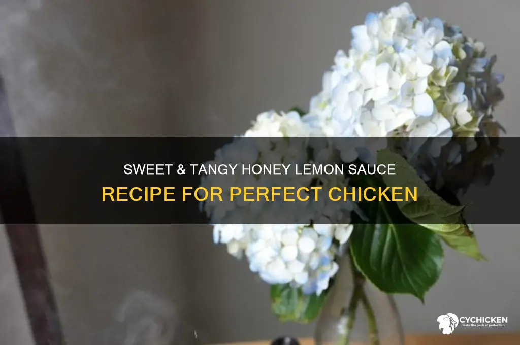 how to make ahoney lemon sauce for chicken