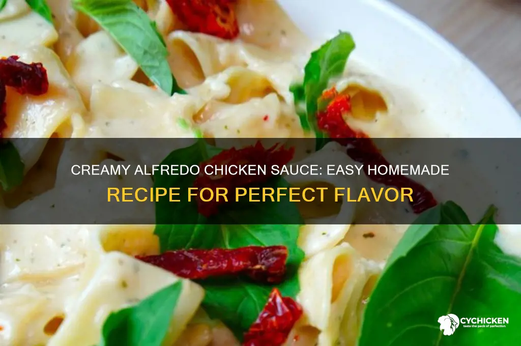 how to make alfredo chicken sauce