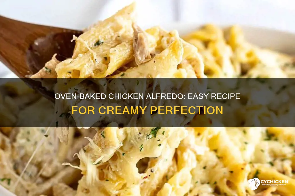 how to make alfredo sauce with chicken in the ovan