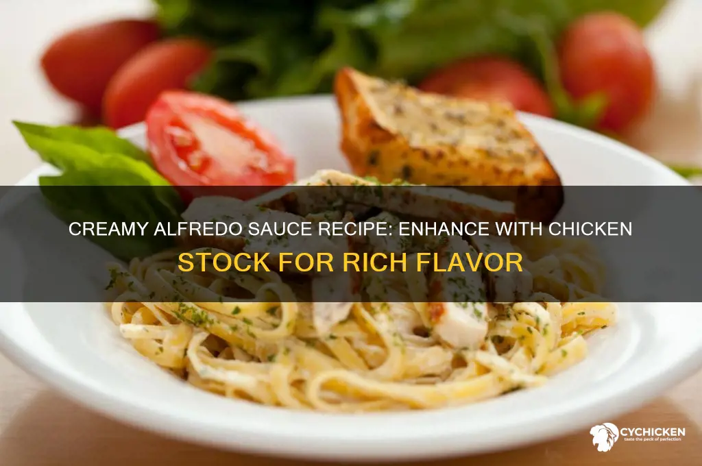 how to make alfredo sauce with chicken stock