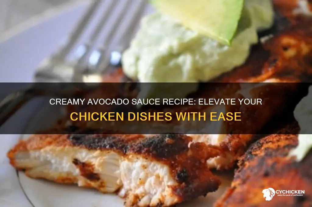 how to make avocado sauce for chicken