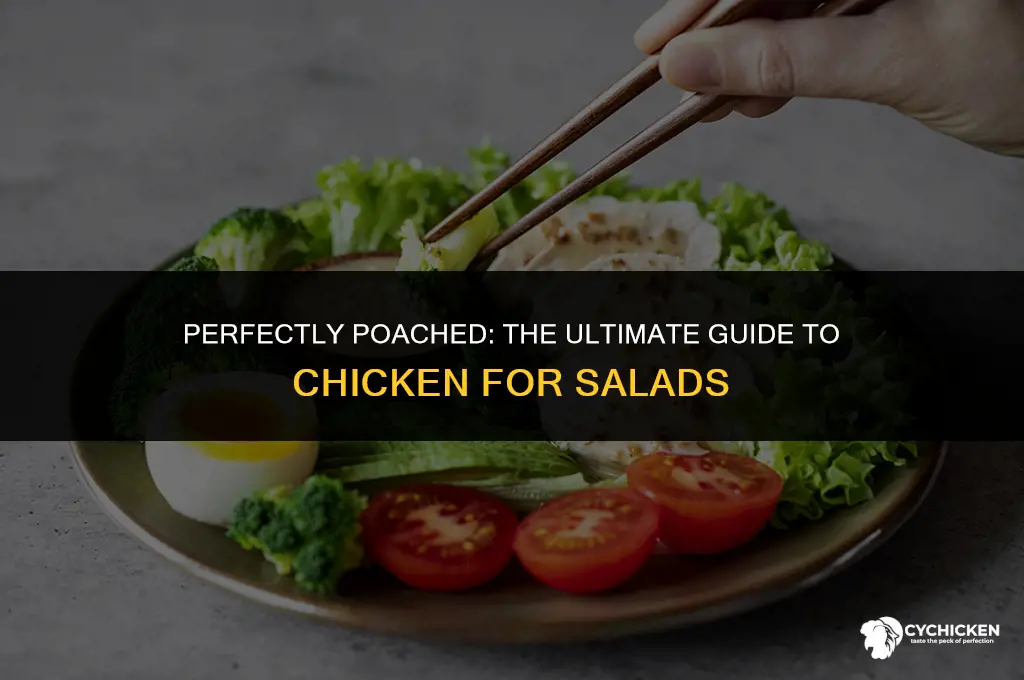 how to make best chicken for salad