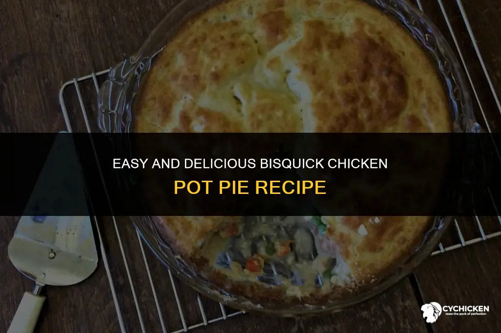 how to make bisquick chicken pot pie