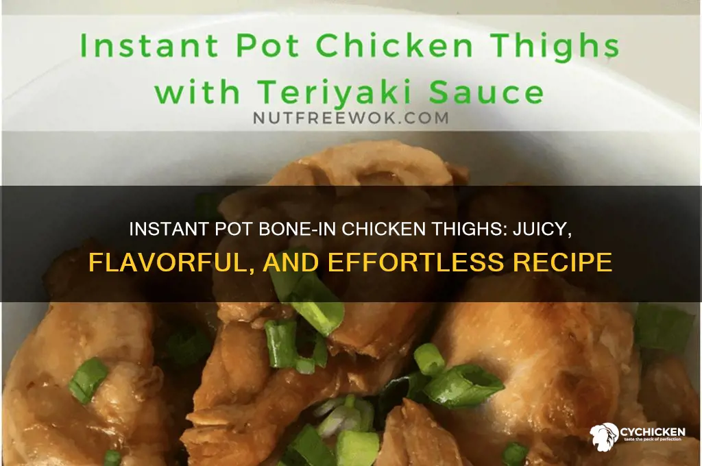 how to make bone in chicken thighs in instant pot