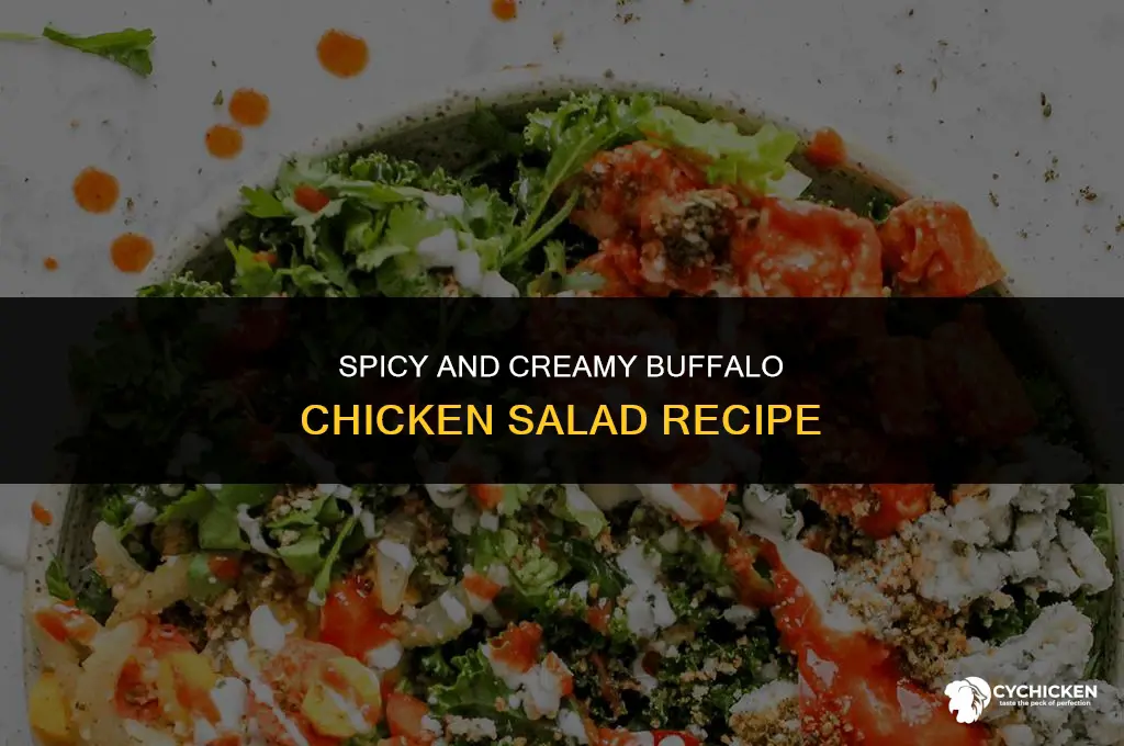 how to make buffalo chicken salad