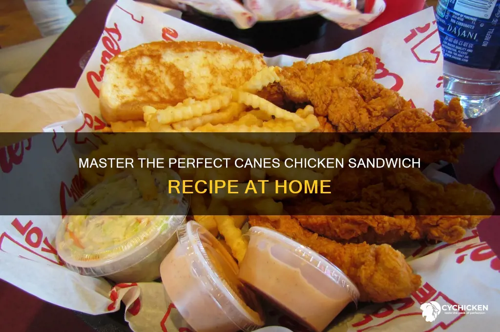 how to make canes chicken sandwich