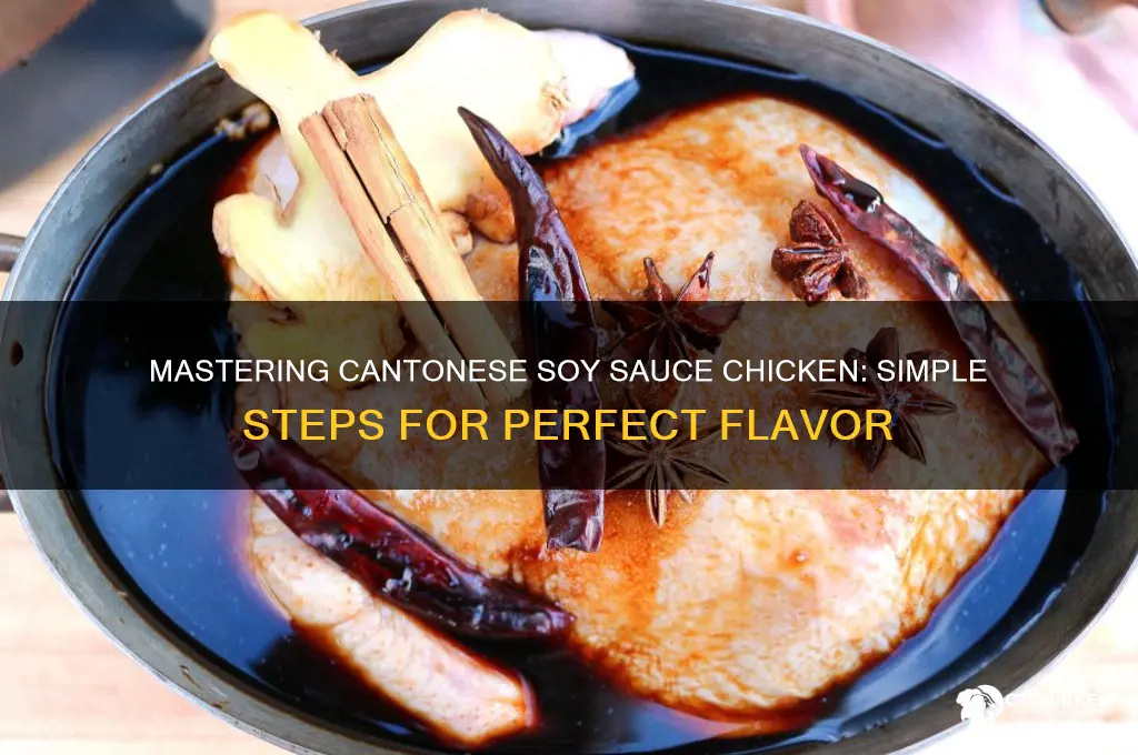 how to make cantonese soy sauce chicken