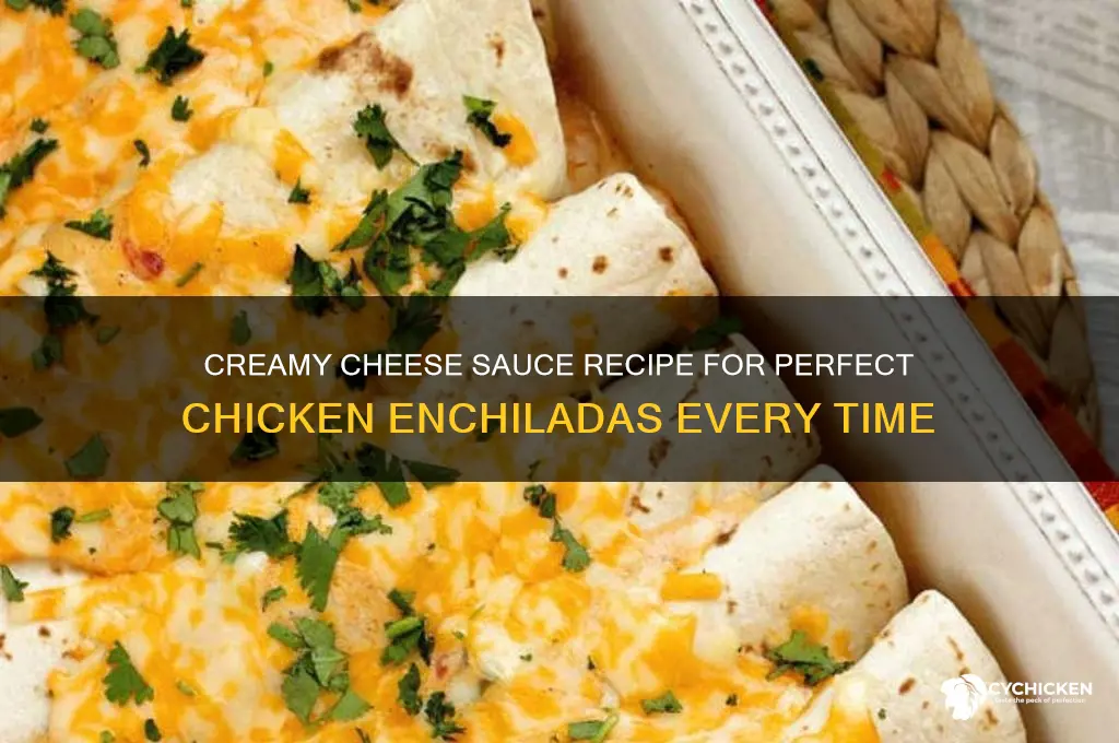 how to make cheese sauce for chicken enchiladas