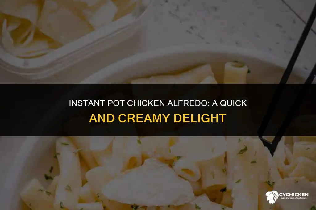 how to make chicken alfrado in instant pot