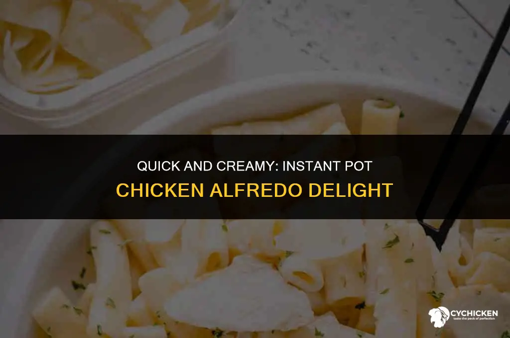 how to make chicken alfredo in a instant pot