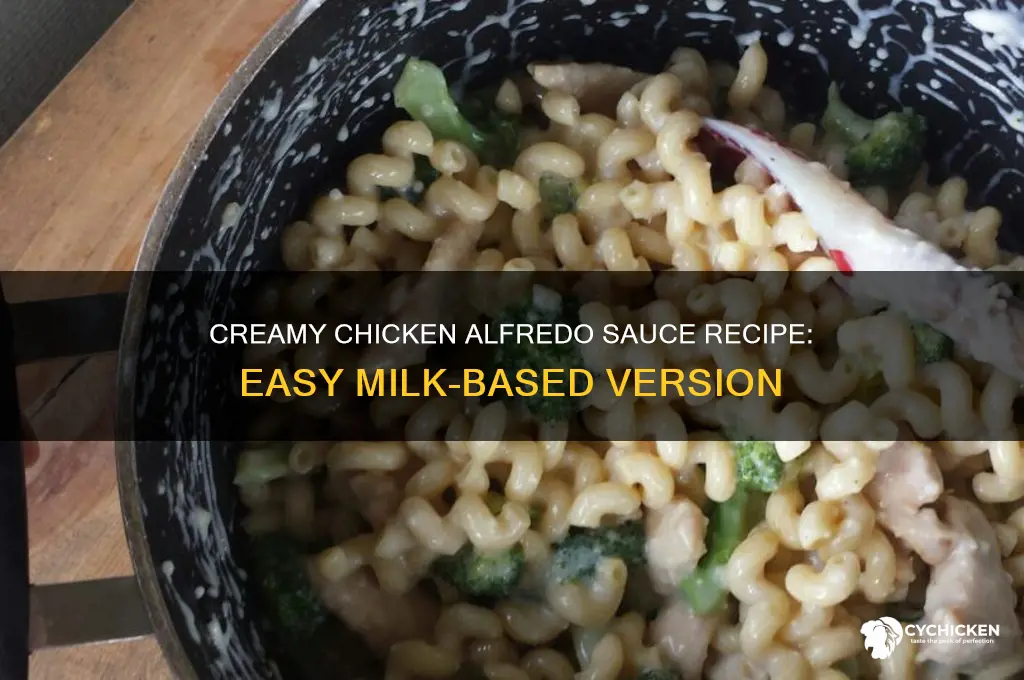 how to make chicken alfredo sauce with milk