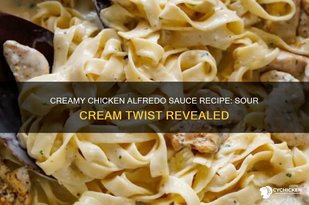 how to make chicken alfredo sauce with sour cream