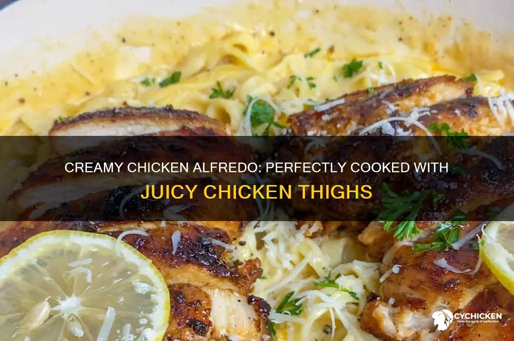 how to make chicken alfredo with chicken thighs