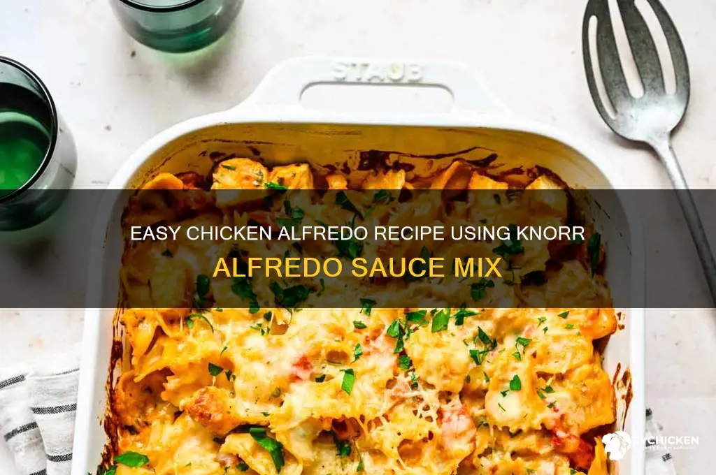how to make chicken alfredo with knorr alfredo sauce mix
