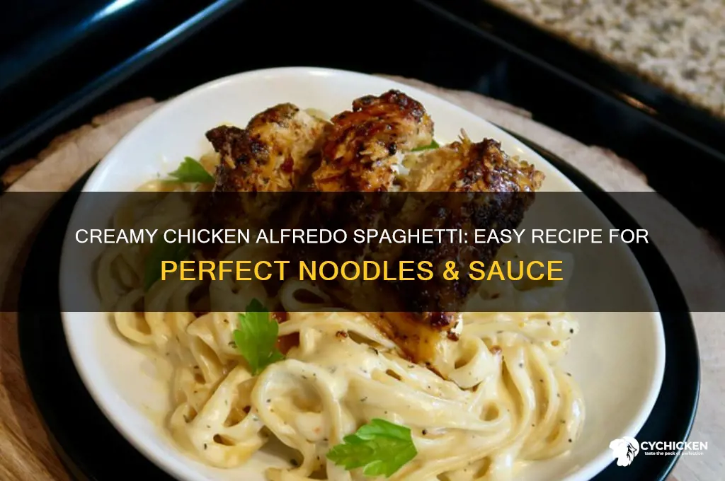 how to make chicken alredo spaghetti noodles with alredo sauce
