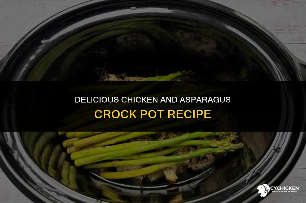 how to make chicken and asparagus in crock pot