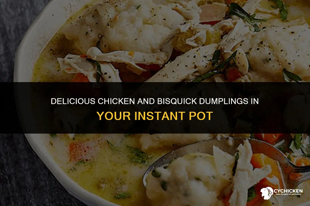 how to make chicken and bisquick dumplings in instant pot