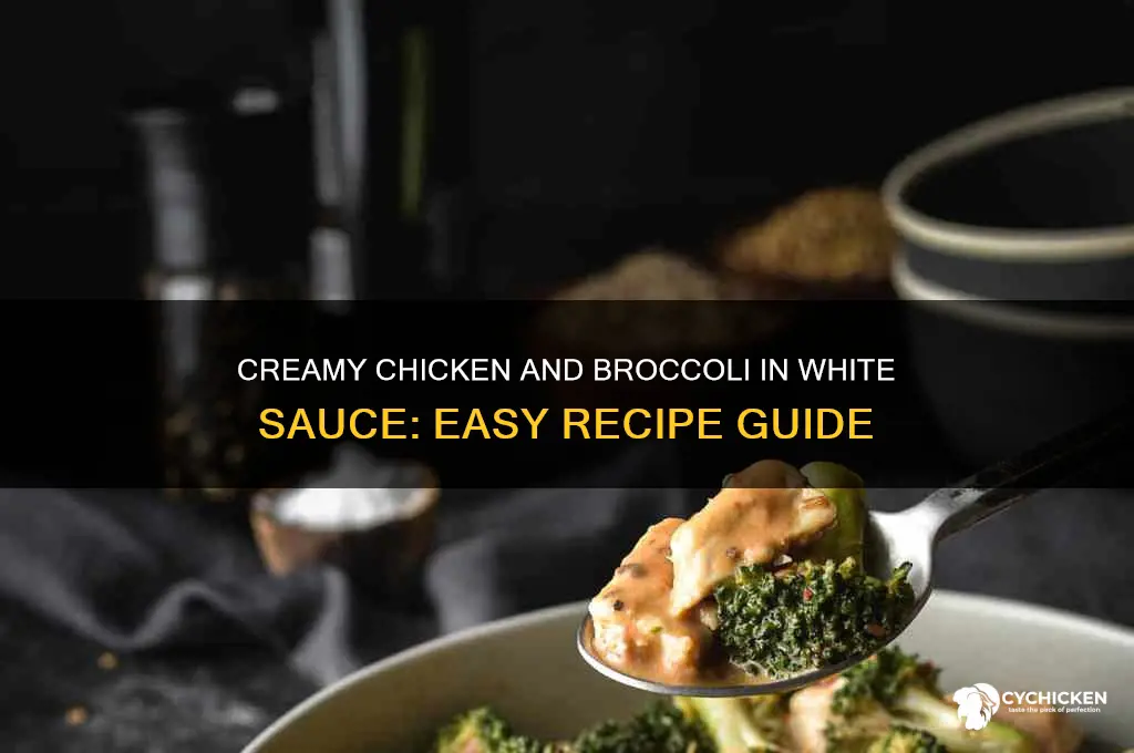 how to make chicken and broccoli with white sauce