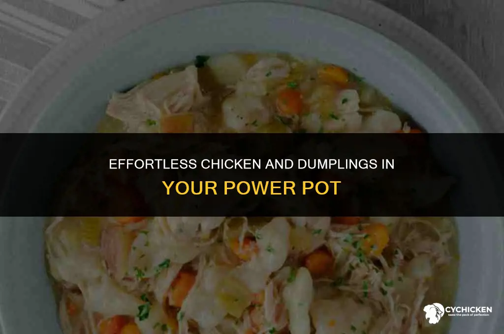 how to make chicken and dumplings in a power pot
