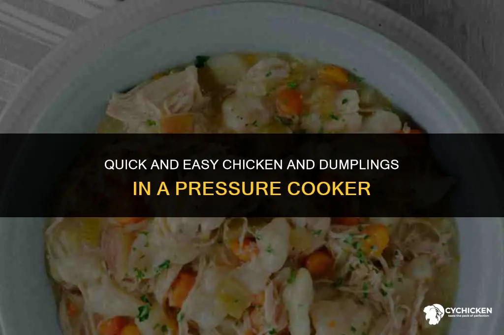 how to make chicken and dumplings in pressure pot