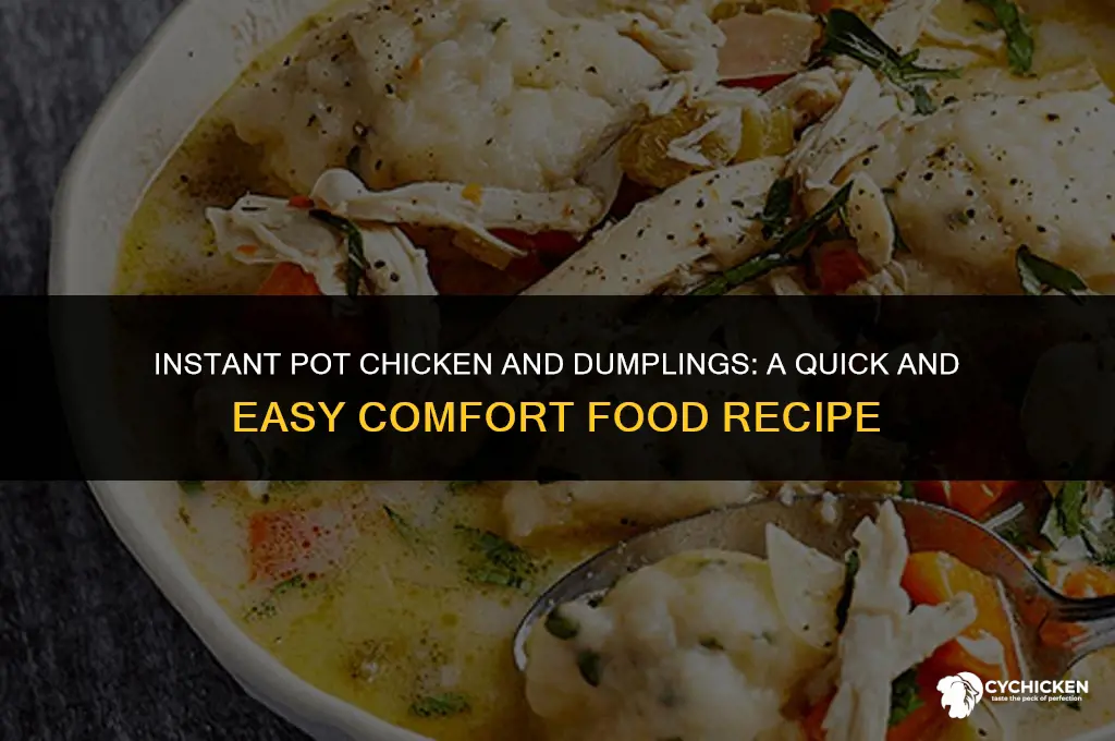 how to make chicken and dumpllings with instant pot