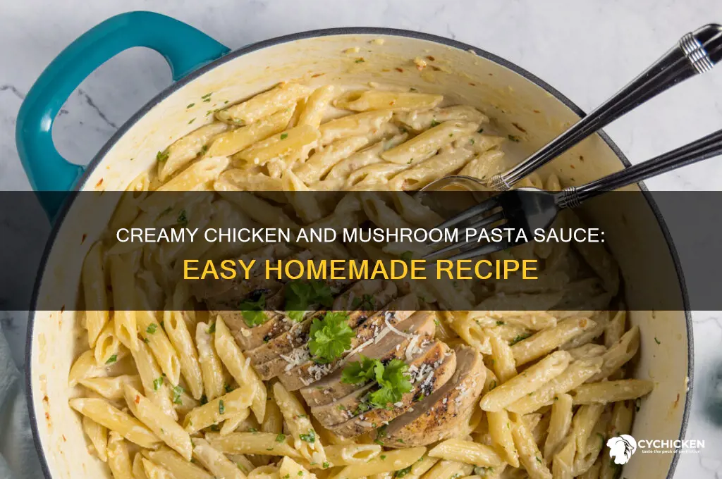 how to make chicken and mushroom pasta sauce