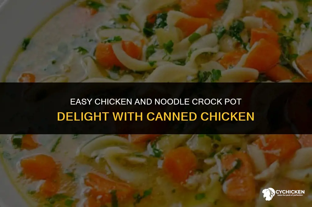 how to make chicken and noodlea crock pot canned chicken