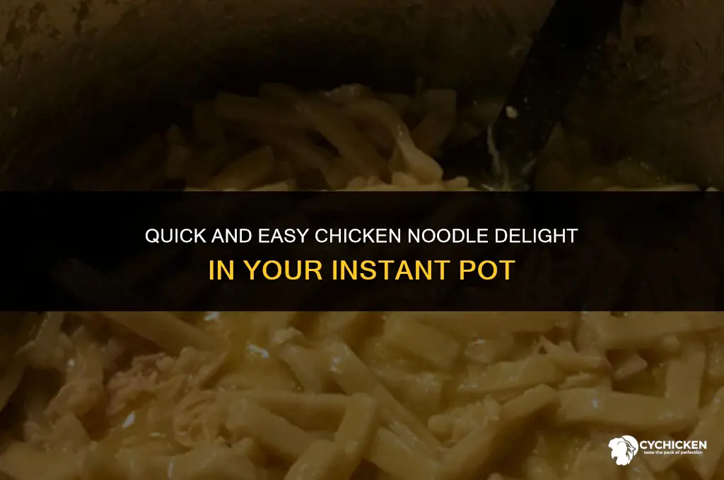 how to make chicken and noodles in a instant pot