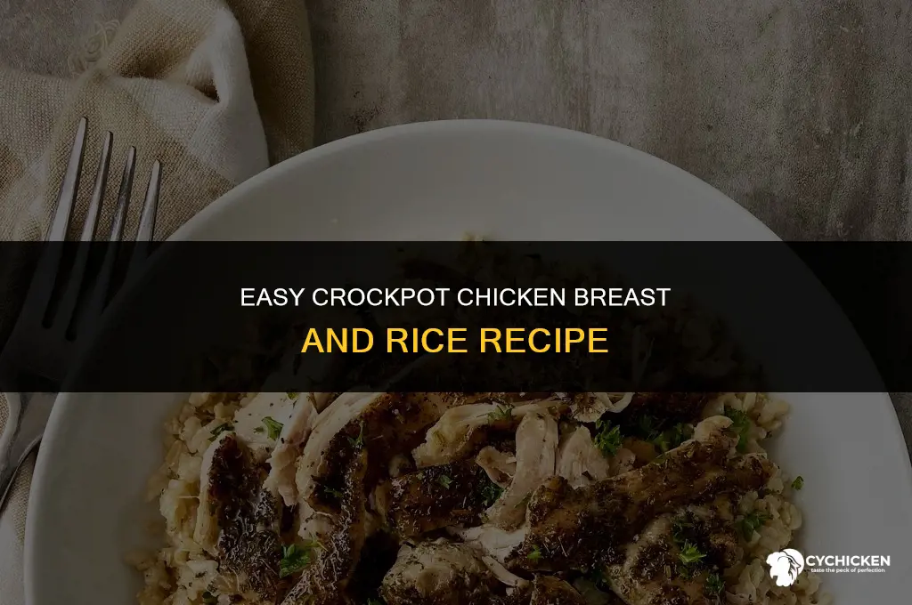 how to make chicken breast and rice in crock pot