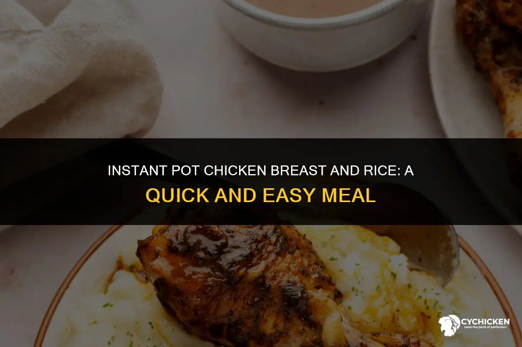 how to make chicken breast and rice in instant pot