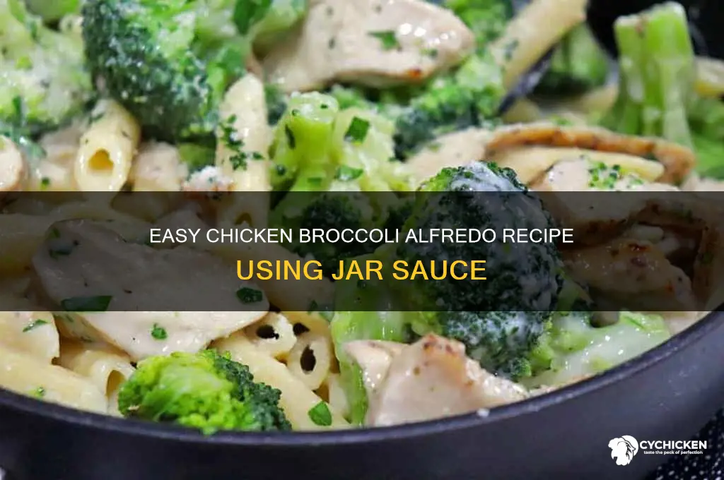 how to make chicken broccoli alfredo with jar sauce
