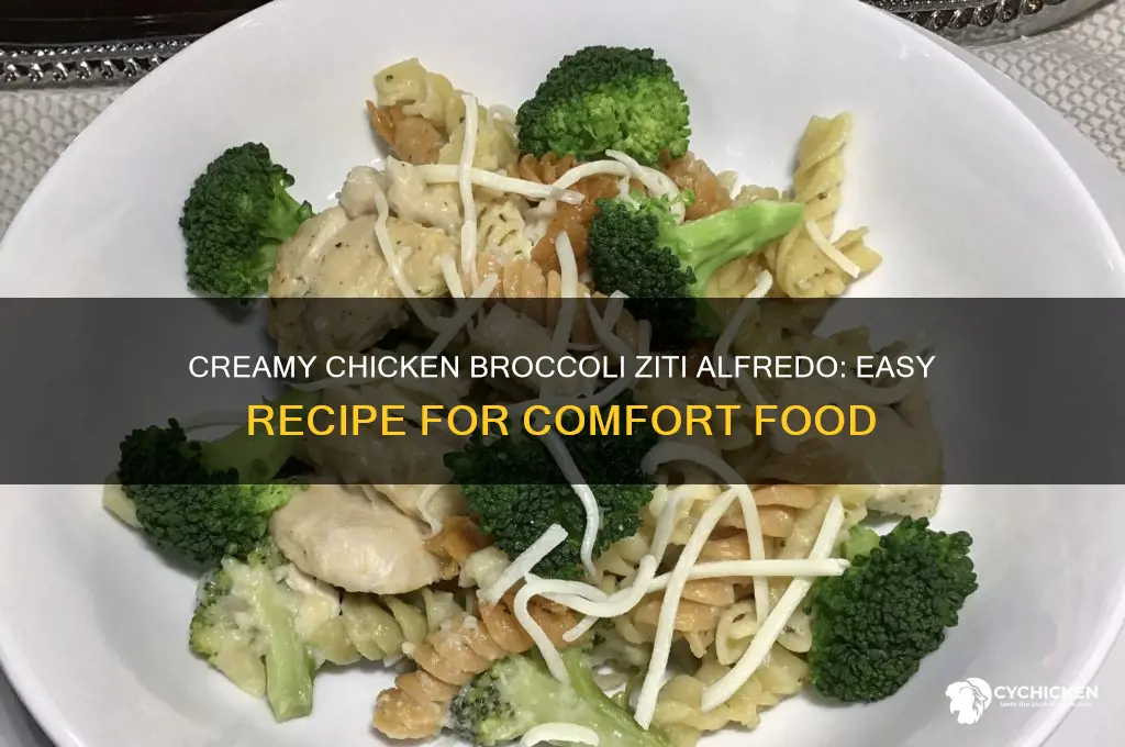 how to make chicken broccoli and ziti with alfredo sauce