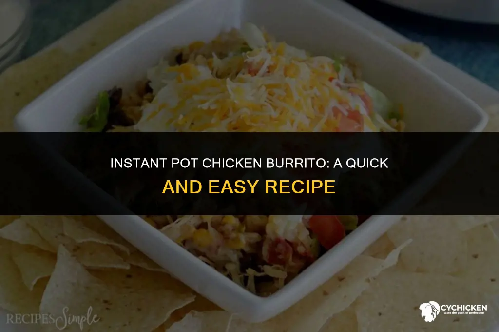 how to make chicken burrito in instant pot
